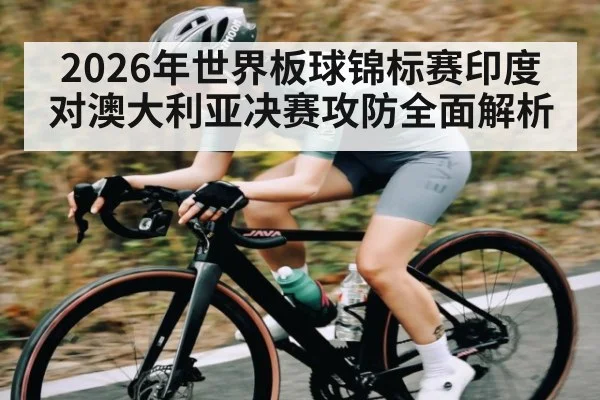 2026年世界板球锦标赛印度对澳大利亚决赛攻防全面解析